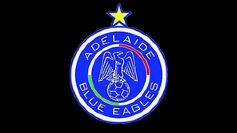 Đấu thủ Blue Eagles và Modbury Jets đang tranh chấp bóng trước khán giả hồi hộp Đấu thủ Blue Eagles và Modbury Jets đang tranh chấp bóng trước khán giả hồi hộp